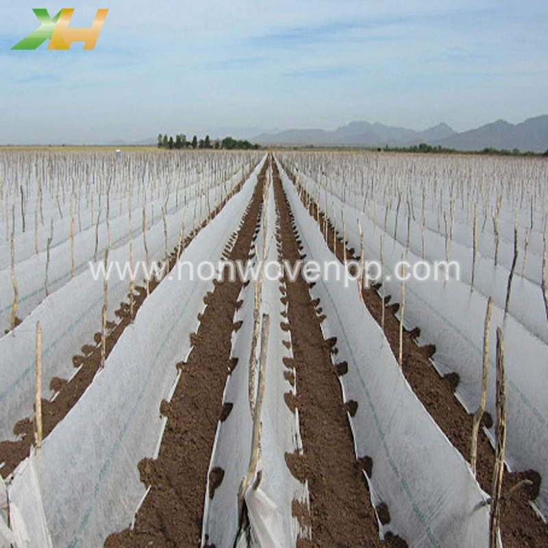 non woven floating row cover